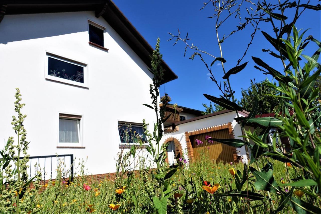Ferienwohnung-M8 Im Schoenen Werratal Jestadt ภายนอก รูปภาพ