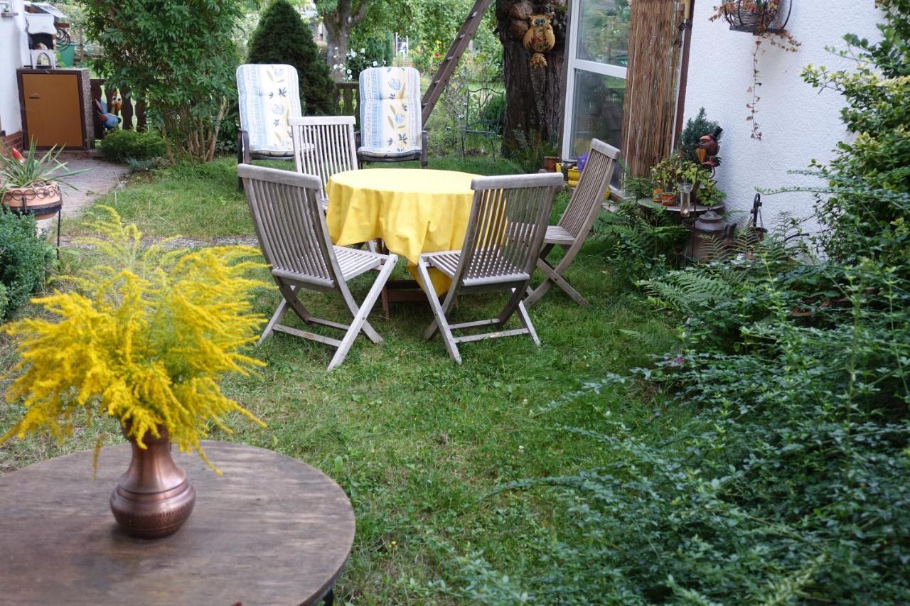 Ferienwohnung-M8 Im Schoenen Werratal Jestadt ภายนอก รูปภาพ